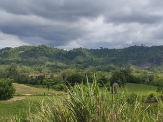 Foto 7 de 🌿 SE VENDE HACIENDA DE 120 HECTÁREAS EN RÍOVERDE - ESMERALDAS 🌿  📍 Ubicación: Cantón Ríoverde, Recinto Chontaduro, Provincia de Esmeraldas. 📏 Exte