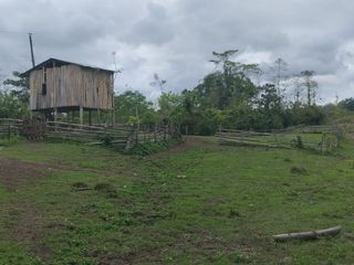 Foto 22 de 🌿 SE VENDE HACIENDA DE 120 HECTÁREAS EN RÍOVERDE - ESMERALDAS 🌿  📍 Ubicación: Cantón Ríoverde, Recinto Chontaduro, Provincia de Esmeraldas. 📏 Exte