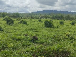 Foto 10 de 🌿 SE VENDE HACIENDA DE 120 HECTÁREAS EN RÍOVERDE - ESMERALDAS 🌿  📍 Ubicación: Cantón Ríoverde, Recinto Chontaduro, Provincia de Esmeraldas. 📏 Exte
