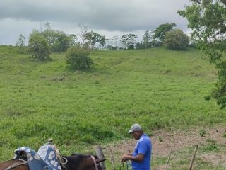 Foto 12 de 🌿 SE VENDE HACIENDA DE 120 HECTÁREAS EN RÍOVERDE - ESMERALDAS 🌿  📍 Ubicación: Cantón Ríoverde, Recinto Chontaduro, Provincia de Esmeraldas. 📏 Exte