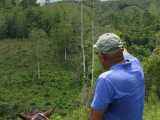 Foto 16 de 🌿 SE VENDE HACIENDA DE 120 HECTÁREAS EN RÍOVERDE - ESMERALDAS 🌿  📍 Ubicación: Cantón Ríoverde, Recinto Chontaduro, Provincia de Esmeraldas. 📏 Exte
