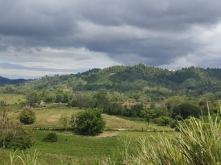 Foto 17 de 🌿 SE VENDE HACIENDA DE 120 HECTÁREAS EN RÍOVERDE - ESMERALDAS 🌿  📍 Ubicación: Cantón Ríoverde, Recinto Chontaduro, Provincia de Esmeraldas. 📏 Exte