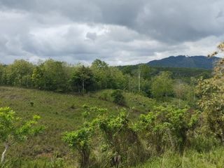 Foto 19 de 🌿 SE VENDE HACIENDA DE 120 HECTÁREAS EN RÍOVERDE - ESMERALDAS 🌿  📍 Ubicación: Cantón Ríoverde, Recinto Chontaduro, Provincia de Esmeraldas. 📏 Exte