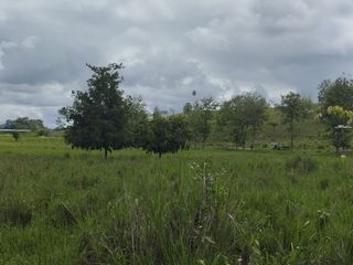 Foto 20 de 🌿 SE VENDE HACIENDA DE 120 HECTÁREAS EN RÍOVERDE - ESMERALDAS 🌿  📍 Ubicación: Cantón Ríoverde, Recinto Chontaduro, Provincia de Esmeraldas. 📏 Exte