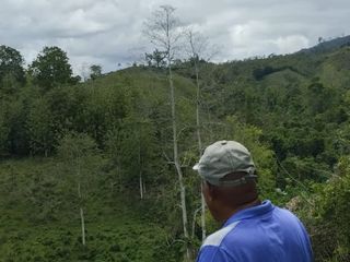 Foto 23 de 🌿 SE VENDE HACIENDA DE 120 HECTÁREAS EN RÍOVERDE - ESMERALDAS 🌿  📍 Ubicación: Cantón Ríoverde, Recinto Chontaduro, Provincia de Esmeraldas. 📏 Exte