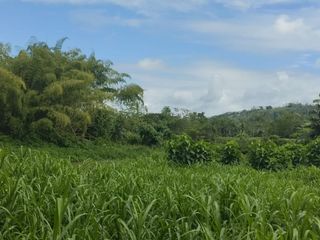 Foto 24 de 🌿 SE VENDE HACIENDA DE 120 HECTÁREAS EN RÍOVERDE - ESMERALDAS 🌿  📍 Ubicación: Cantón Ríoverde, Recinto Chontaduro, Provincia de Esmeraldas. 📏 Exte