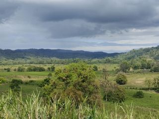 Foto 25 de 🌿 SE VENDE HACIENDA DE 120 HECTÁREAS EN RÍOVERDE - ESMERALDAS 🌿  📍 Ubicación: Cantón Ríoverde, Recinto Chontaduro, Provincia de Esmeraldas. 📏 Exte