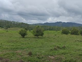 Foto 26 de 🌿 SE VENDE HACIENDA DE 120 HECTÁREAS EN RÍOVERDE - ESMERALDAS 🌿  📍 Ubicación: Cantón Ríoverde, Recinto Chontaduro, Provincia de Esmeraldas. 📏 Exte