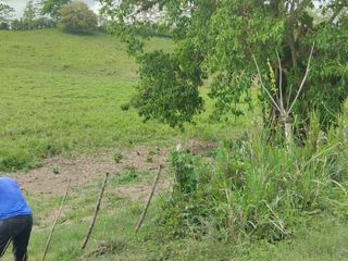 Foto 28 de 🌿 SE VENDE HACIENDA DE 120 HECTÁREAS EN RÍOVERDE - ESMERALDAS 🌿  📍 Ubicación: Cantón Ríoverde, Recinto Chontaduro, Provincia de Esmeraldas. 📏 Exte
