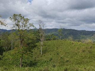 Foto 32 de 🌿 SE VENDE HACIENDA DE 120 HECTÁREAS EN RÍOVERDE - ESMERALDAS 🌿  📍 Ubicación: Cantón Ríoverde, Recinto Chontaduro, Provincia de Esmeraldas. 📏 Exte