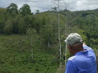 Foto 35 de 🌿 SE VENDE HACIENDA DE 120 HECTÁREAS EN RÍOVERDE - ESMERALDAS 🌿  📍 Ubicación: Cantón Ríoverde, Recinto Chontaduro, Provincia de Esmeraldas. 📏 Exte