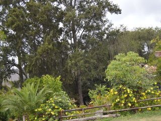 Foto 13 de CASAS CAMPESTRE EN ARRIENDO: Quinta Kronopios, entorno ecológico y biodiverso