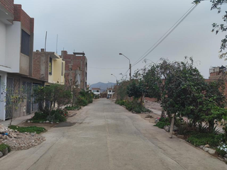 Foto 3 de Inversión Terreno en Alameda de Carabayllo