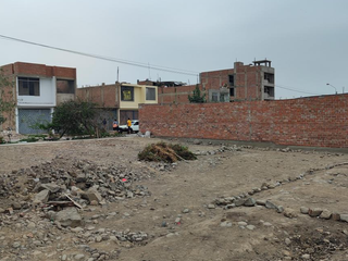 Foto 7 de Inversión Terreno en Alameda de Carabayllo