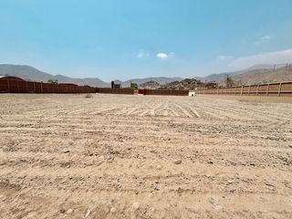 Foto 7 de Venta De Terreno Industrial Cercadoen av las torres Huachipa