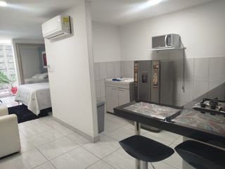 Foto 5 de SE ALQUILA APARTAESTUDIO EN GRAN LIMONAR