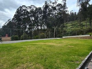 Foto 4 de Casa en alquiler 4 Dormitorios Sector Rancho San Francisco Cumbayá Quito - Ecuador