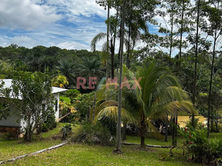 Foto 4 de Vendo Amplio Terreno Agrícola Con Casa Y Lagunas En Iquitos – Ideal Para Proyecto Turístico O Agricultura