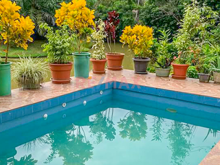 Foto 10 de Vendo Amplio Terreno Agrícola Con Casa Y Lagunas En Iquitos – Ideal Para Proyecto Turístico O Agricultura