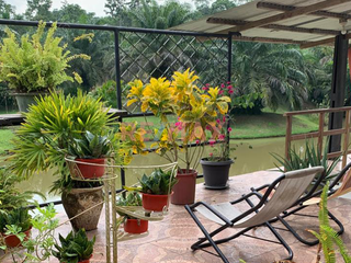 Foto 11 de Vendo Amplio Terreno Agrícola Con Casa Y Lagunas En Iquitos – Ideal Para Proyecto Turístico O Agricultura