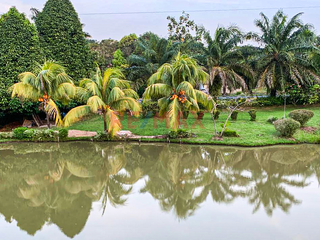 Foto 13 de Vendo Amplio Terreno Agrícola Con Casa Y Lagunas En Iquitos – Ideal Para Proyecto Turístico O Agricultura