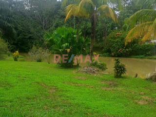 Foto 15 de Vendo Amplio Terreno Agrícola Con Casa Y Lagunas En Iquitos – Ideal Para Proyecto Turístico O Agricultura