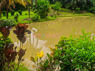 Foto 16 de Vendo Amplio Terreno Agrícola Con Casa Y Lagunas En Iquitos – Ideal Para Proyecto Turístico O Agricultura