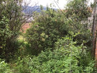 Foto 19 de Vendo casa de 300 m2 en Ponciano Bajo