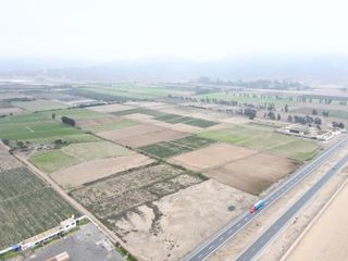 Foto 2 de EN VENTA TERRENO DE 8.00 HECTAREAS EN CHANCAY, A 10 MINUTOS DEL PUERTO DE CHANCAY