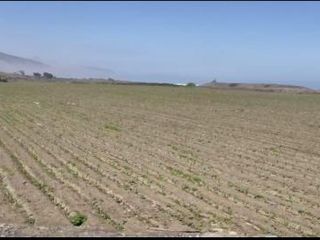 Foto 3 de VENTA DE TERRENO EN CHANCAY