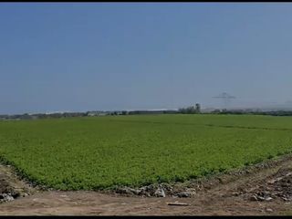 Foto 1 de VENTA DE TERRENO EN CHANCAY