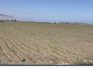 Foto 5 de VENTA DE TERRENO EN CHANCAY