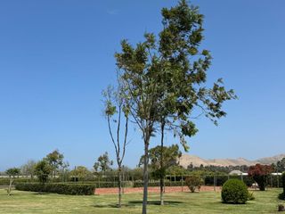 Foto 33 de VENDO TERRENO -LOTE EN CONDOMINIO CASABLANCA ECOVILLAS, CERRO AZUL, CAÑETE