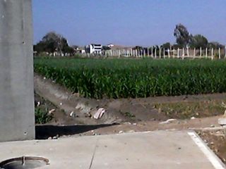 Foto 3 de Terreno en venta excelente para Proyecto Inmobiliario