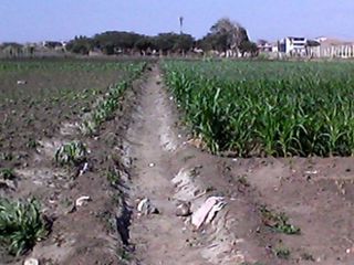 Foto 1 de Terreno en venta excelente para Proyecto Inmobiliario