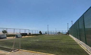 place photo 13