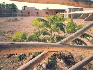 Foto 7 de ¡COMPRE AHORA Y APROVECHE LA OPORTUNIDAD! ¡Terreno de 2048 m2 en condominio de campo en Chincha!