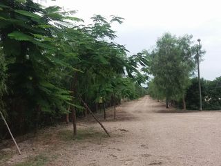 Foto 8 de ¡COMPRE AHORA Y APROVECHE LA OPORTUNIDAD! ¡Terreno de 2048 m2 en condominio de campo en Chincha!