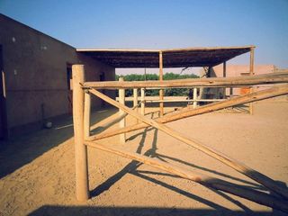 Foto 5 de ¡COMPRE AHORA Y APROVECHE LA OPORTUNIDAD! ¡Terreno de 2048 m2 en condominio de campo en Chincha!