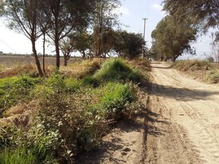 Foto 13 de ¡COMPRE AHORA Y APROVECHE LA OPORTUNIDAD! ¡Terreno de 2048 m2 en condominio de campo en Chincha!