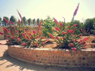 Foto 17 de ¡COMPRE AHORA Y APROVECHE LA OPORTUNIDAD! ¡Terreno de 2048 m2 en condominio de campo en Chincha!