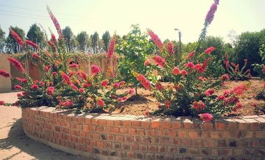 place photo 17