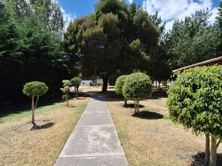 Foto 25 de CASA - POMASQUI (La Pampa 5)