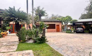 place photo 40