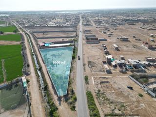 Foto 1 de Alquilo Terreno Circulado de 5000 m2 a filo de pista San José - Chiclayo
