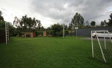 place photo 49