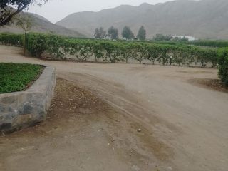 Foto 5 de VENTA DE TERRENO en Condominio Exclusivo “Lomas de Huando”  1,087.42m2