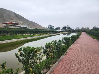 Foto 13 de VENTA DE TERRENO en Condominio Exclusivo “Lomas de Huando”  1,087.42m2