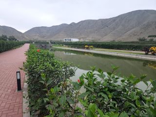 Foto 16 de VENTA DE TERRENO en Condominio Exclusivo “Lomas de Huando”  1,087.42m2