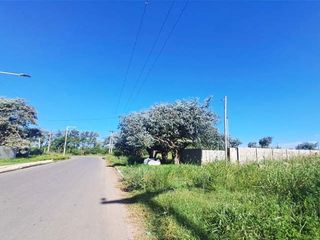 Foto 4 de Lote de 250m2 en Venta en Pérez: Ideal para Vivienda o uso Comercial.